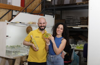 img_3808.jpeg img_3808.jpeg