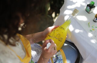 img_3772.jpeg img_3772.jpeg