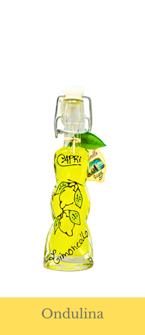 chiocciola chiocciola