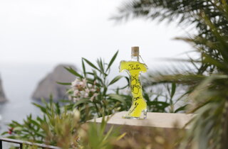 img_2949.jpeg img_2949.jpeg