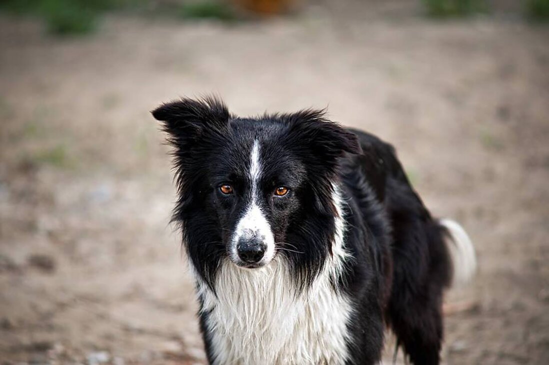 Piazza del Tricolore 11 e 120598396263 - 3205322439REPERIBILITÀ 24H Piazza del Tricolore 11 e 120598396263 - 3205322439REPERIBILITÀ 24H