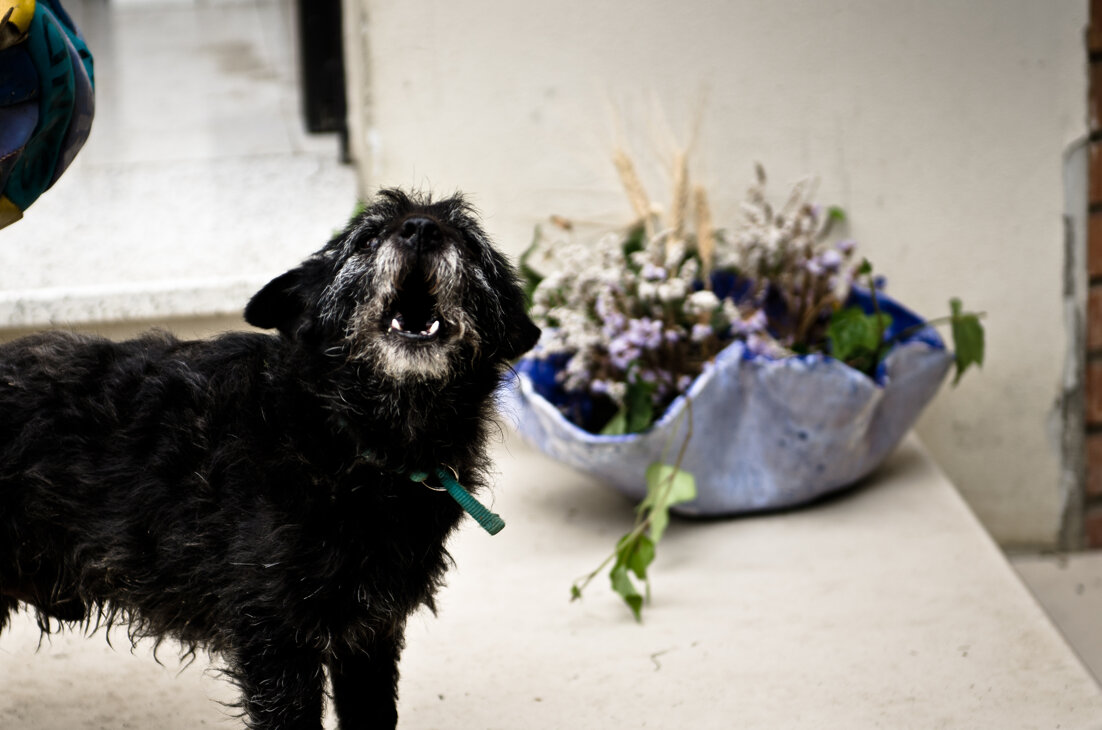 Piazza del Tricolore 11 e 120598396263 - 3205322439REPERIBILITÀ 24H Piazza del Tricolore 11 e 120598396263 - 3205322439REPERIBILITÀ 24H