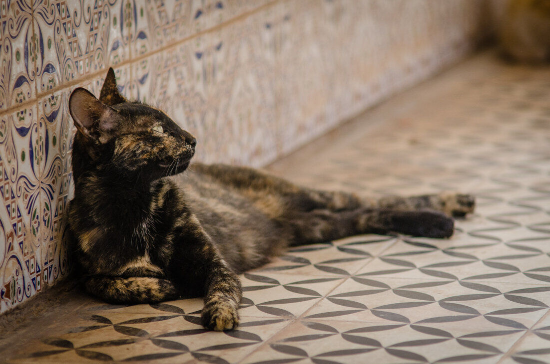 Piazza del Tricolore 11 e 120598396263 - 3205322439REPERIBILITÀ 24H Piazza del Tricolore 11 e 120598396263 - 3205322439REPERIBILITÀ 24H