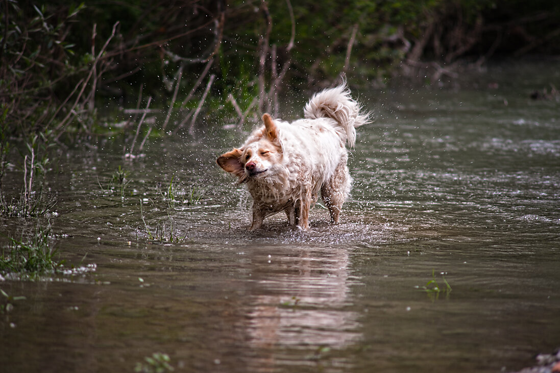 Piazza del Tricolore 11 e 120598396263 - 3205322439REPERIBILITÀ 24H Piazza del Tricolore 11 e 120598396263 - 3205322439REPERIBILITÀ 24H