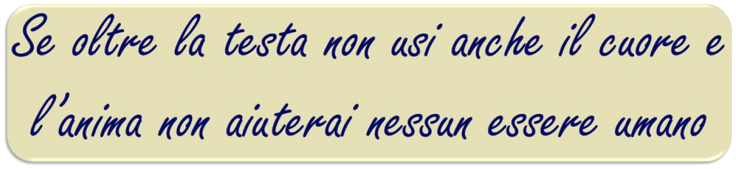 969a1c13-86c1-4aa2-b916-494c1a7de66d