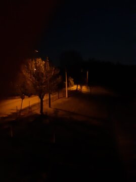 Fuori dalla finestra