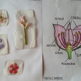 #iorestoacasa Arianna #iorestoacasa Arianna