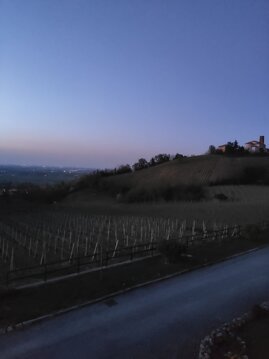 Fuori dalla finestra