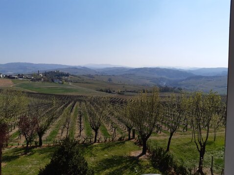 Fuori dalla finestra