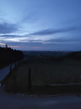 Fuori dalla finestra