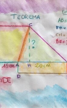 Lab.Mate Irene Lab.Mate Irene