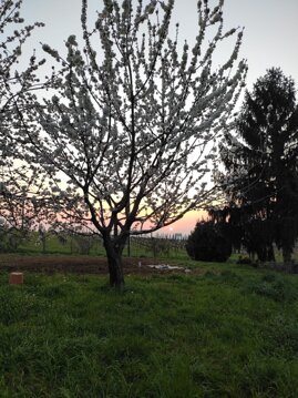 Fuori dalla finestra