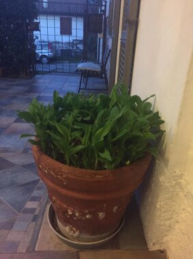 Laboratorio del tempo e della distanza