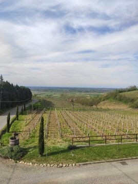 Fuori dalla finestra