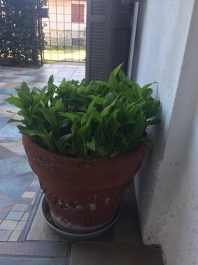 Laboratorio del tempo e della distanza