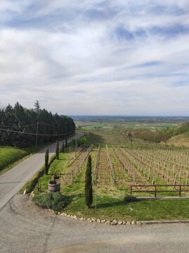 Fuori dalla finestra