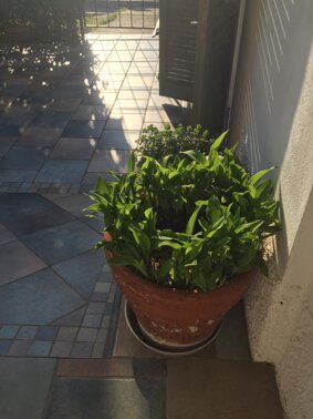 Laboratorio del tempo e della distanza