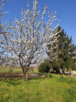 Fuori dalla finestra