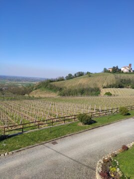 Fuori dalla finestra