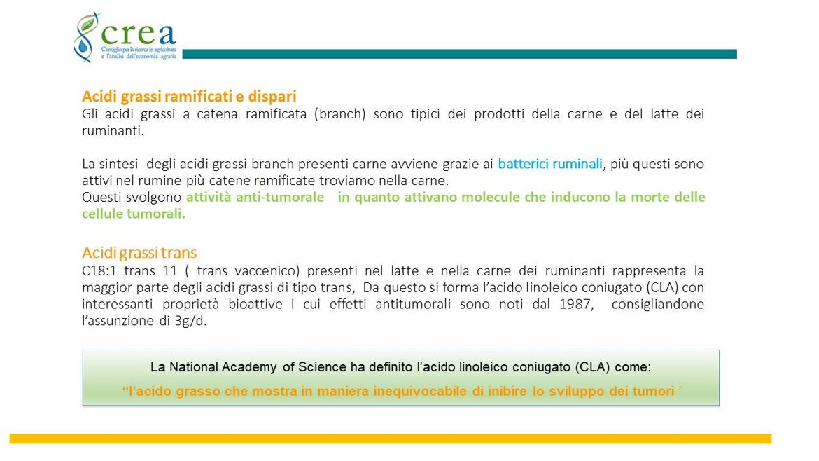 68896ea2-fee2-4f8a-8082-6327f4e13fb5