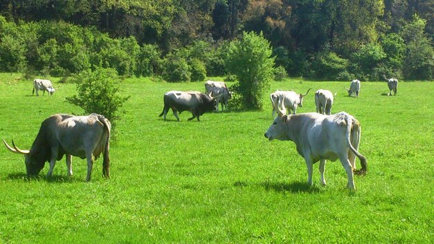 0d07d252-f685-48bb-a7a9-b6a399366641