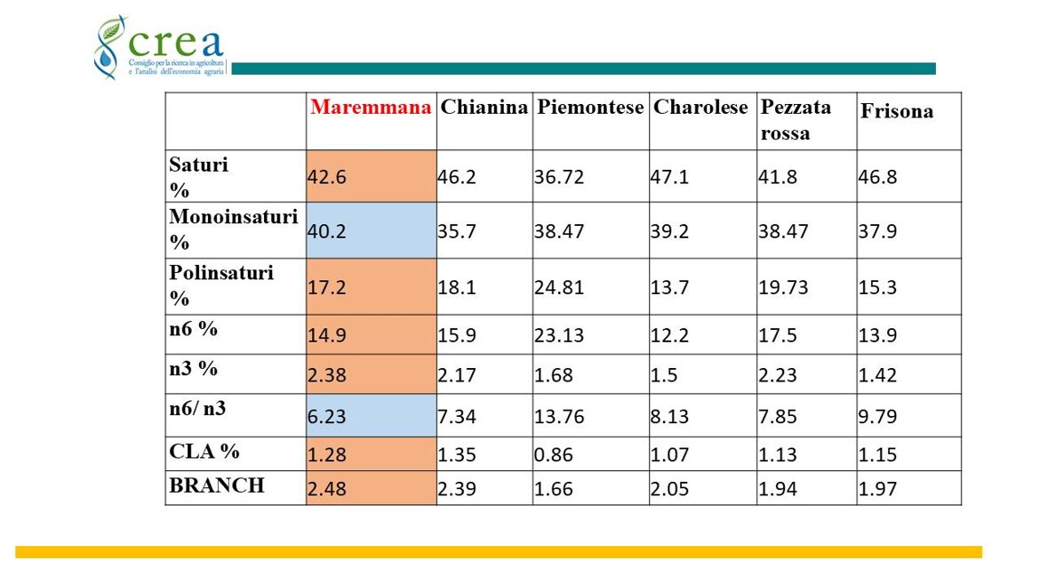 36f435fb-b8e5-47fe-bcae-1fe538b22a71