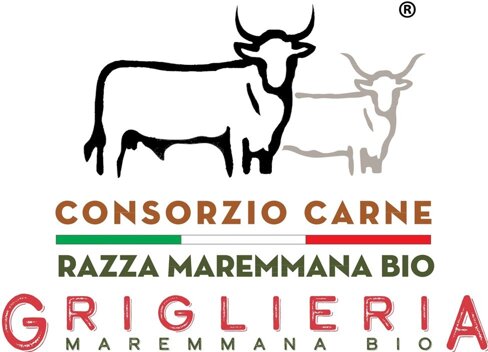 b5108136-c9e4-47e1-b386-0c6bb18542d6