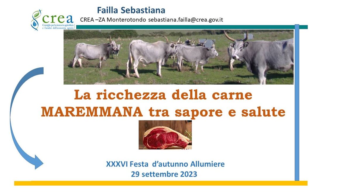 bdaa6ddc-47e2-41bb-b8bc-2982c9d541a8