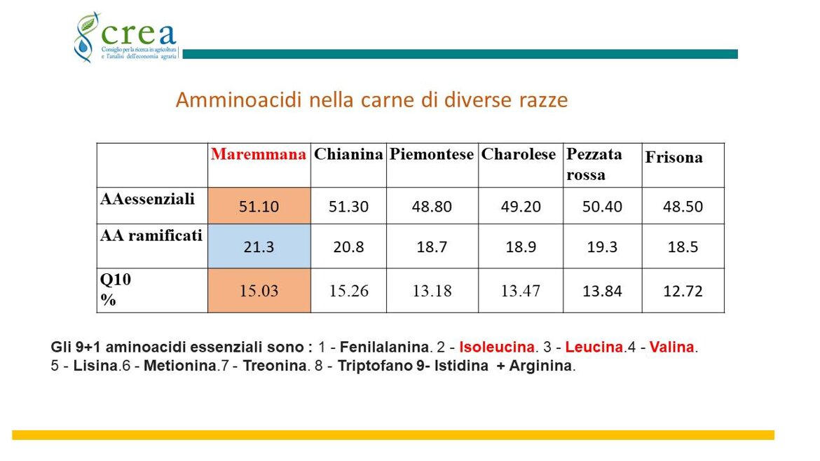 358ca42b-195a-4a87-88dd-a112695c31da