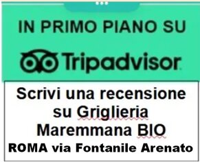 5b1d54e8-77db-48eb-8481-3713aed72c9f