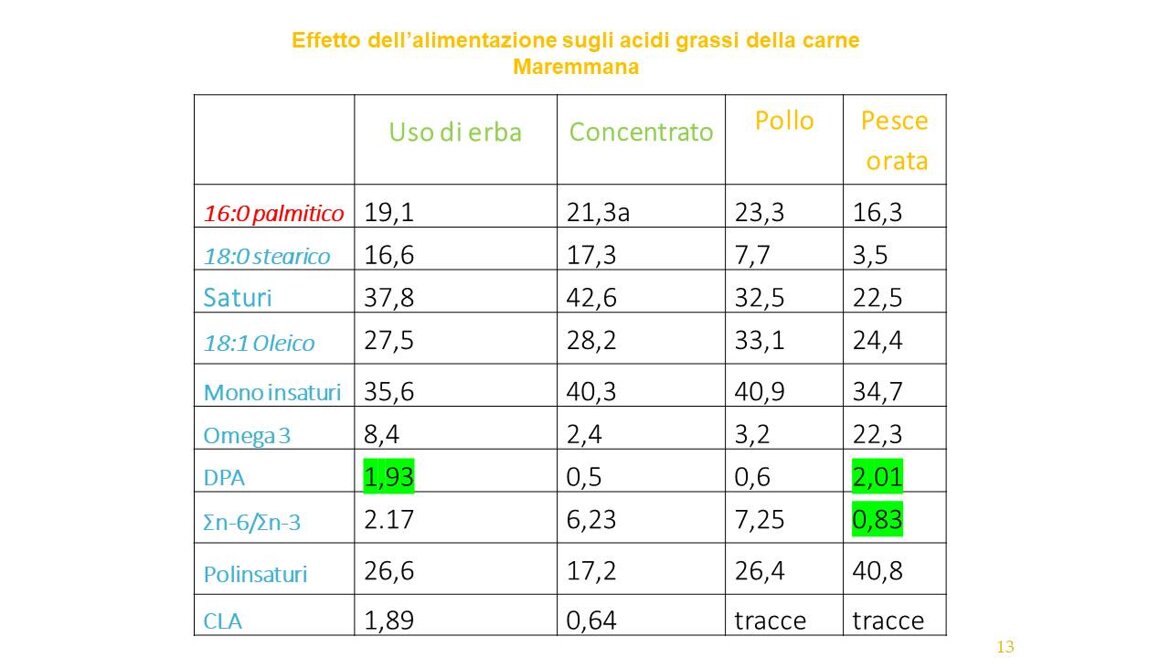 9c7b6c1d-f0c9-4c86-b723-a74392fbe5f3