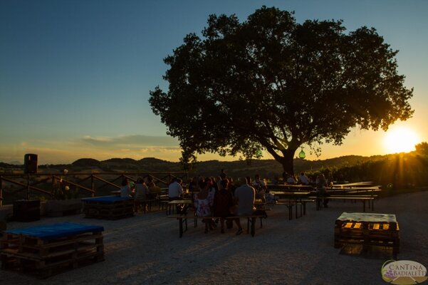 daltramontoalvino-1 daltramontoalvino-1