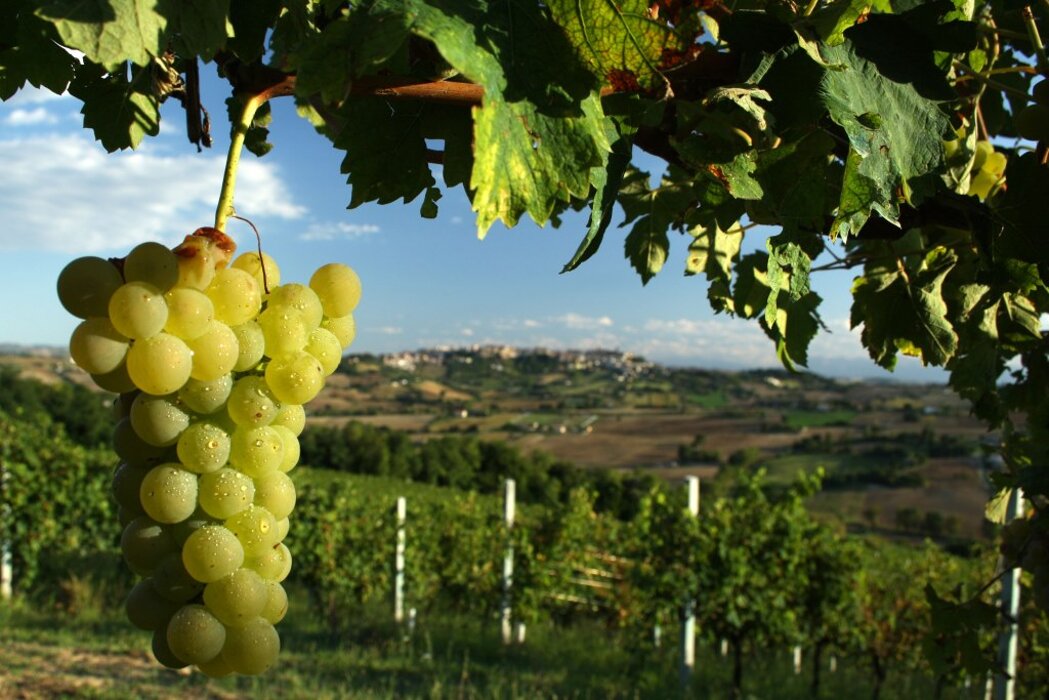 1settembre2010_07_1 1settembre2010_07_1