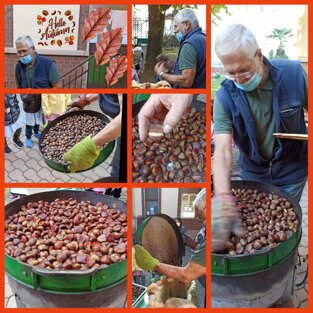 7a4c7253-1e41-4943-816a-5662c0f74f37