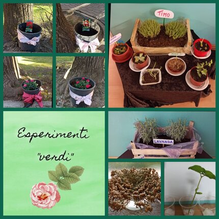 c3457eea-3931-43b0-a6e2-7af712fd8b81