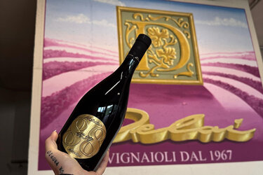 immagine 16 - copia.jpeg immagine 16 - copia.jpeg