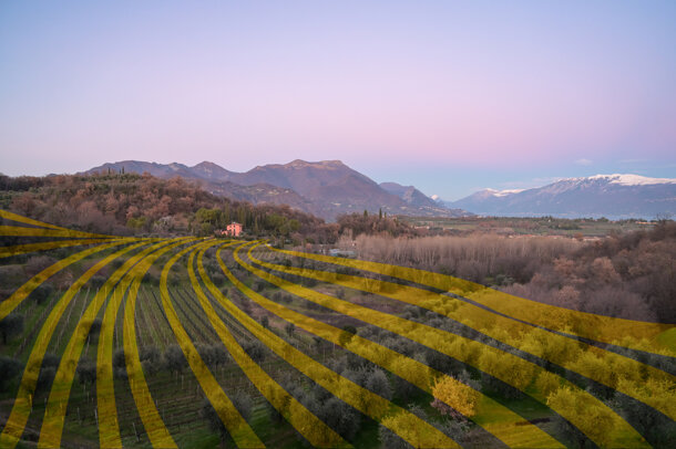 cantina delai sergio0487.jpeg