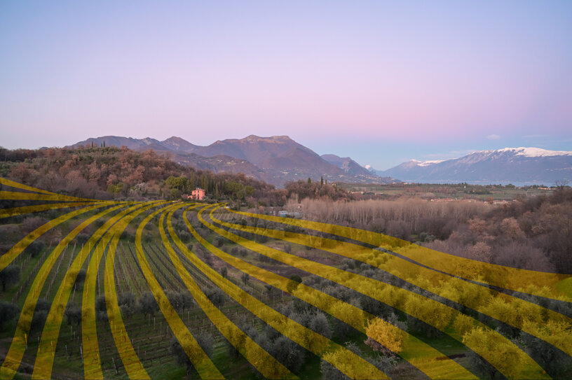 cantina delai sergio0487.jpeg