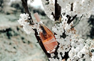 degustazioni.jpeg degustazioni.jpeg