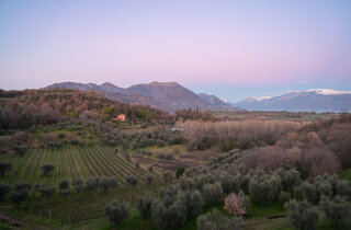 cantina%20delai%20sergio%20valtenesi%20notterosa%20vini%20&%20cucina%20bresciana%20foto%20marioli-6635.jpeg cantina%20delai%20sergio%20valtenesi%20notterosa%20vini%20&%20cucina%20bresciana%20foto%20marioli-6635.jpeg