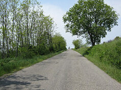 b29e6008-8761-4e0a-bbd1-919d1103edff