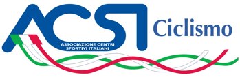 logo acsi.jpeg