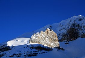 My idea of wellness My idea of wellness