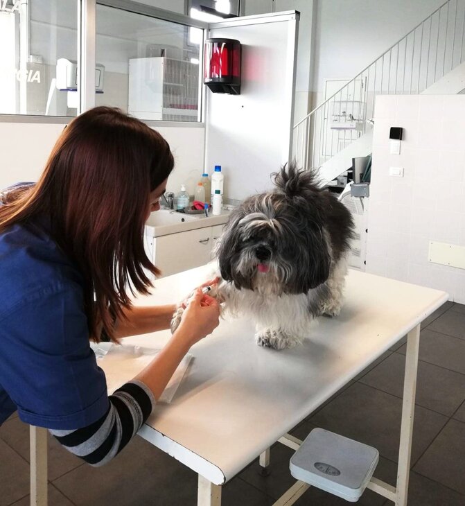 Passione, competenza e attenzione per i vostri animali