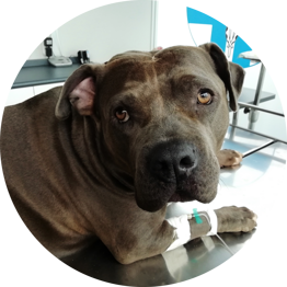77755b0c-e43d-40c7-a624-dcd07b20095a