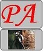 pa-logo_1