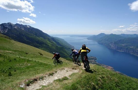 lagobici lagobici