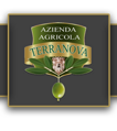 terranova-logo