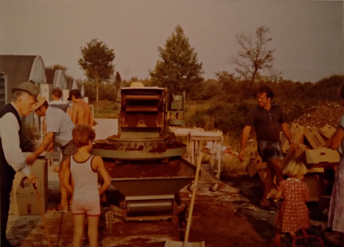 3fae5518-61c3-4c90-8c51-6c1d5cfa2c2b