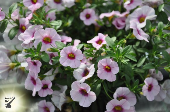 8281e20c-2a8f-4a73-97a7-06c5162a4c07